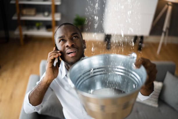 Best Water damage restoration near me  in Apple Valley, MN