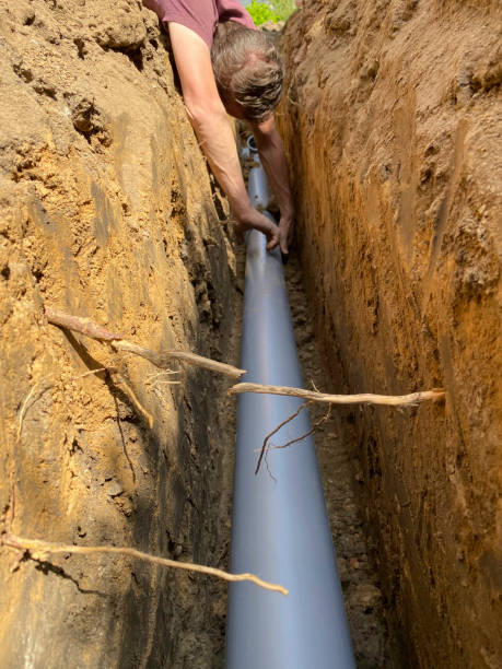 Best Flood restoration services  in Apple Valley, MN