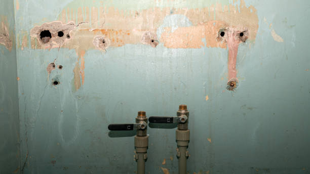 Best Fire Damage Restoration  in Apple Valley, MN
