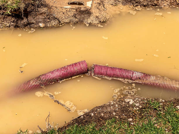 Best Water damage restoration services  in Apple Valley, MN
